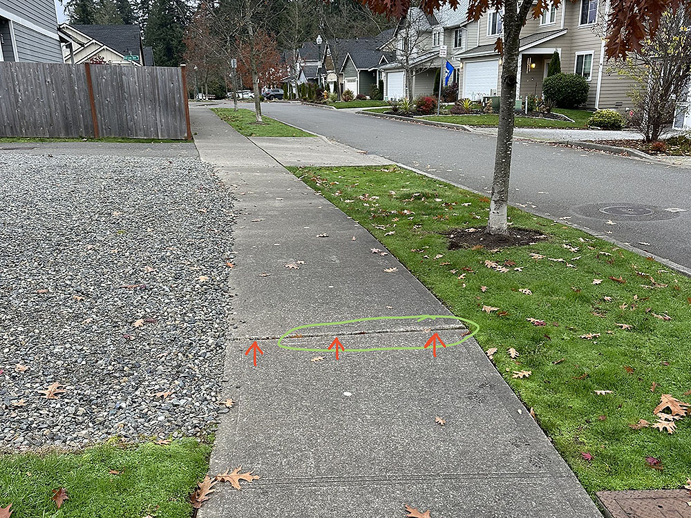 BellevueSidewalkLifting[1]