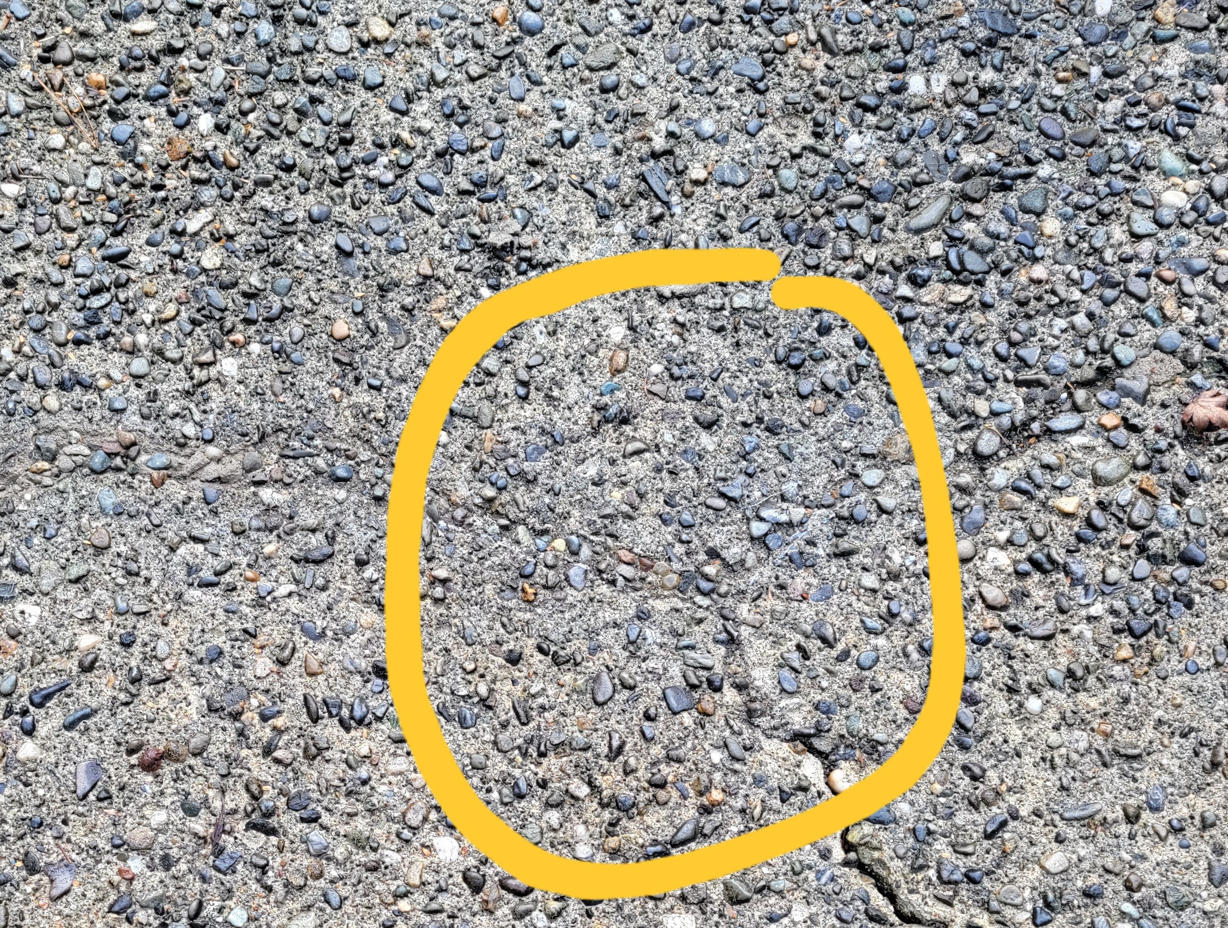 Exposed-Aggregate-After[1]