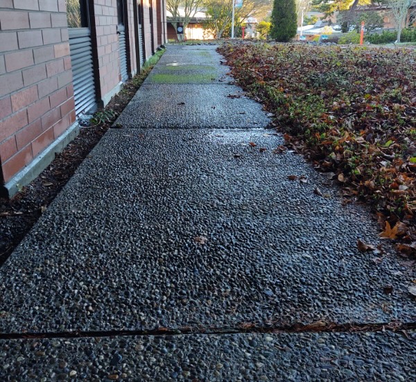ShorelineCommunityCollege3[1]