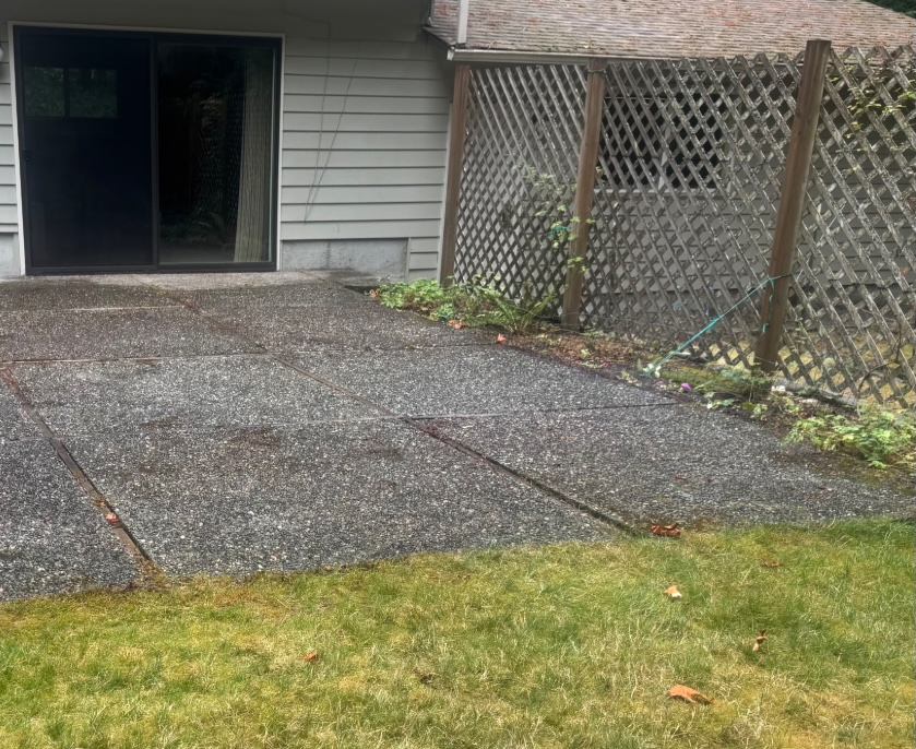 Patio Concrete Raising Bothell, WA